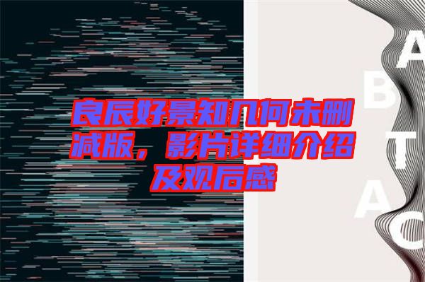 良辰好景知幾何未刪減版，影片詳細(xì)介紹及觀后感