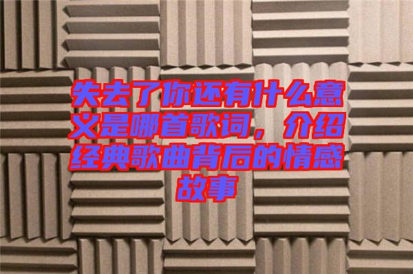 失去了你還有什么意義是哪首歌詞，介紹經(jīng)典歌曲背后的情感故事