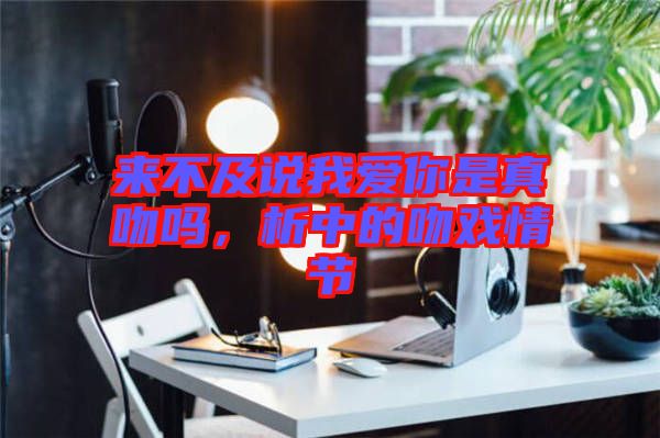 來不及說我愛你是真吻嗎，析中的吻戲情節(jié)