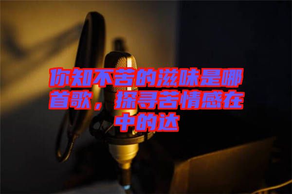 你知不苦的滋味是哪首歌，探尋苦情感在中的達