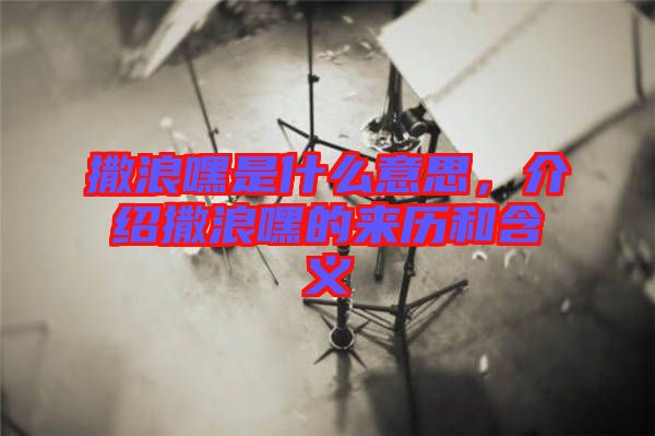 撒浪嘿是什么意思，介紹撒浪嘿的來歷和含義