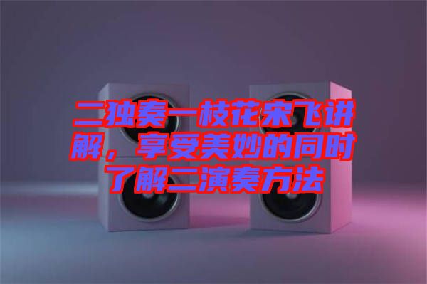 二獨(dú)奏一枝花宋飛講解，享受美妙的同時(shí)了解二演奏方法