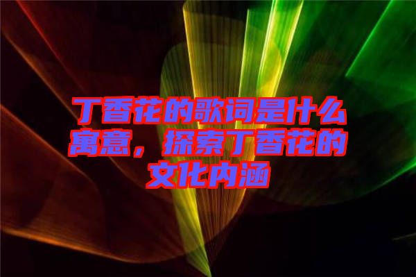 丁香花的歌詞是什么寓意，探索丁香花的文化內(nèi)涵