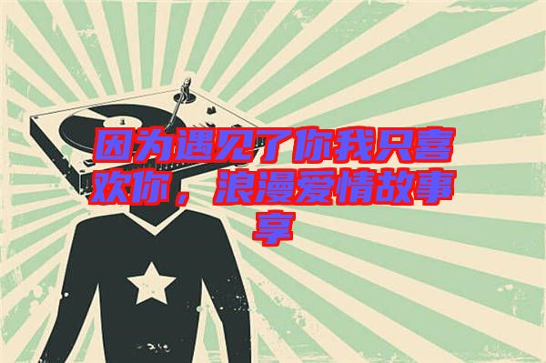 因?yàn)橛鲆?jiàn)了你我只喜歡你，浪漫愛(ài)情故事享