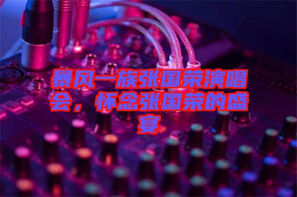 暴風一族張國榮演唱會，懷念張國榮的盛宴