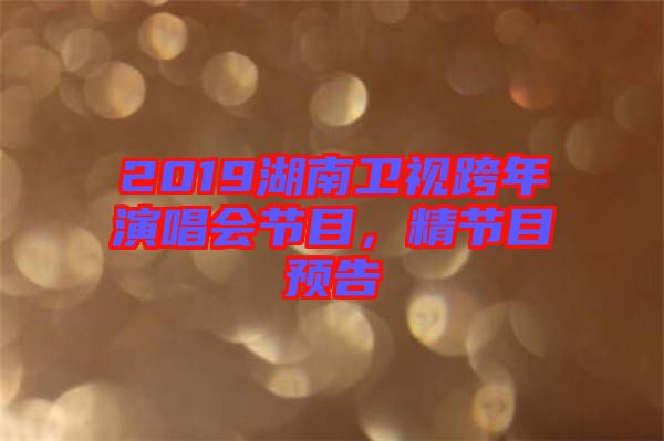2019湖南衛(wèi)視跨年演唱會節(jié)目，精節(jié)目預告