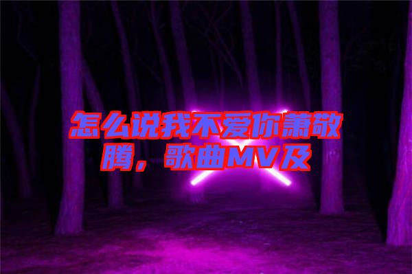 怎么說我不愛你蕭敬騰，歌曲MV及