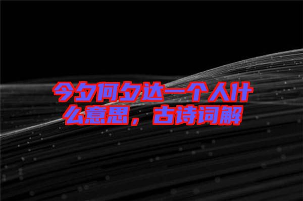 今夕何夕達(dá)一個(gè)人什么意思，古詩(shī)詞解