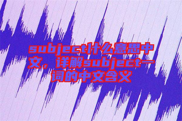 subject什么意思中文，詳解subject一詞的中文含義
