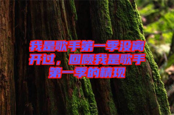 我是歌手第一季沒離開過，回顧我是歌手第一季的精現(xiàn)