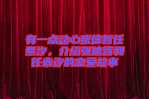 有一點(diǎn)動(dòng)心張信哲任素汐，介紹張信哲和任素汐的戀愛故事