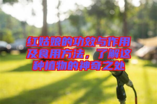紅姑娘的功效與作用及食用方法，了解這種植物的神奇之處