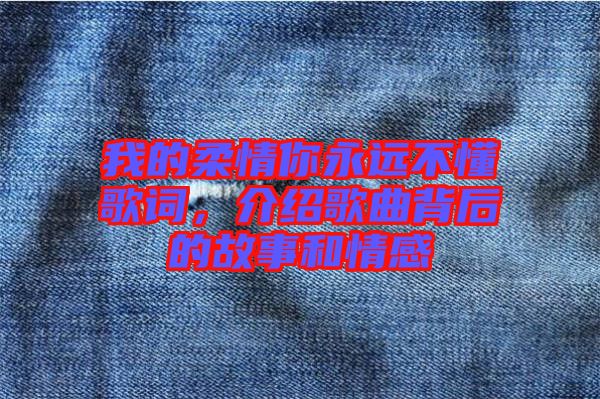 我的柔情你永遠不懂歌詞，介紹歌曲背后的故事和情感