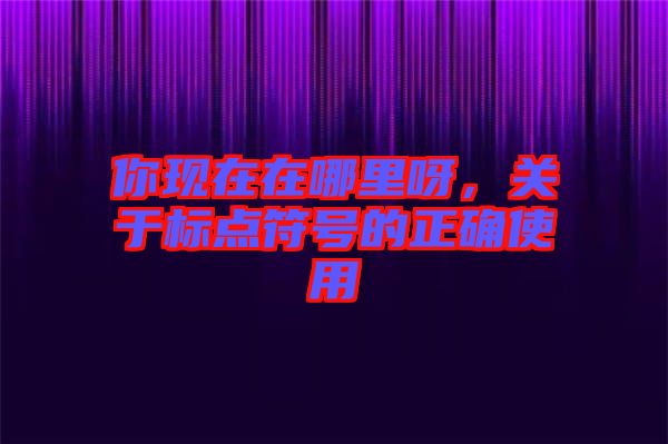 你現(xiàn)在在哪里呀，關(guān)于標(biāo)點(diǎn)符號(hào)的正確使用