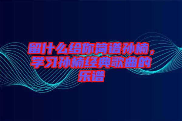 留什么給你簡(jiǎn)譜孫楠，學(xué)習(xí)孫楠經(jīng)典歌曲的樂(lè)譜