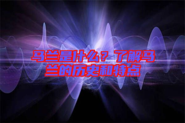 馬蘭是什么？了解馬蘭的歷史和特點(diǎn)