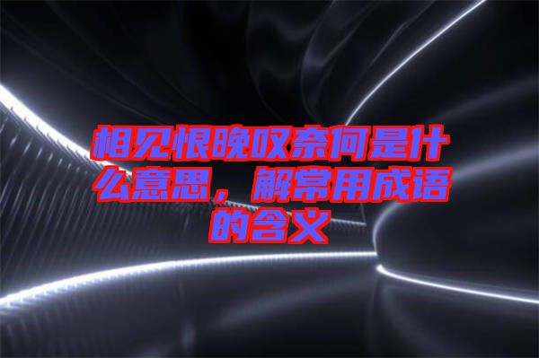 相見恨晚嘆奈何是什么意思，解常用成語的含義