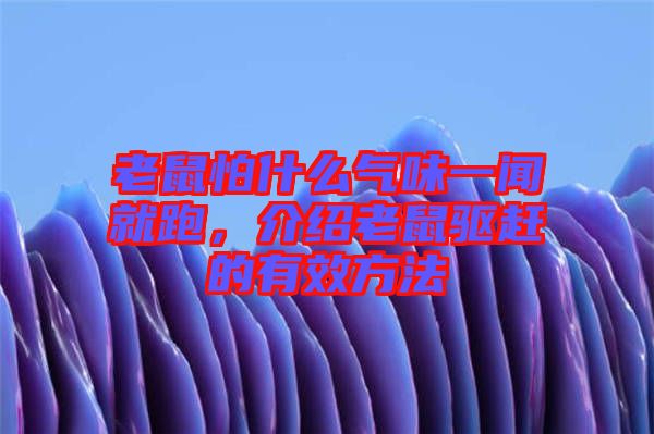 老鼠怕什么氣味一聞就跑，介紹老鼠驅(qū)趕的有效方法