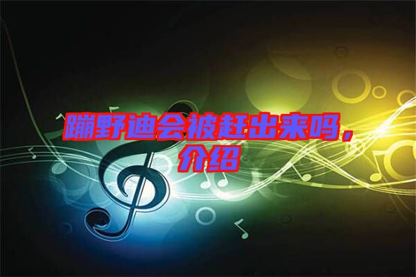 蹦野迪會被趕出來嗎，介紹