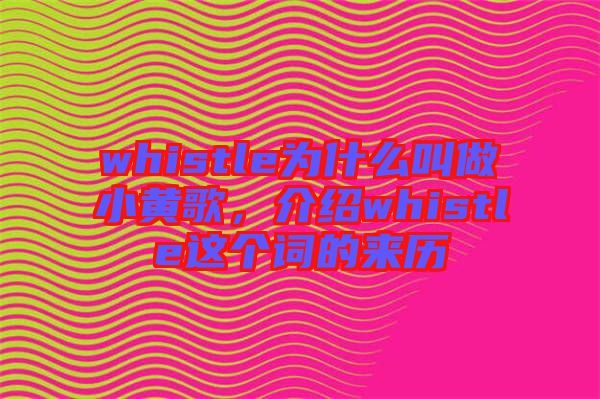 whistle為什么叫做小黃歌，介紹whistle這個(gè)詞的來歷