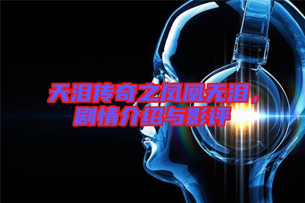 天淚傳奇之鳳凰無淚，劇情介紹與影評