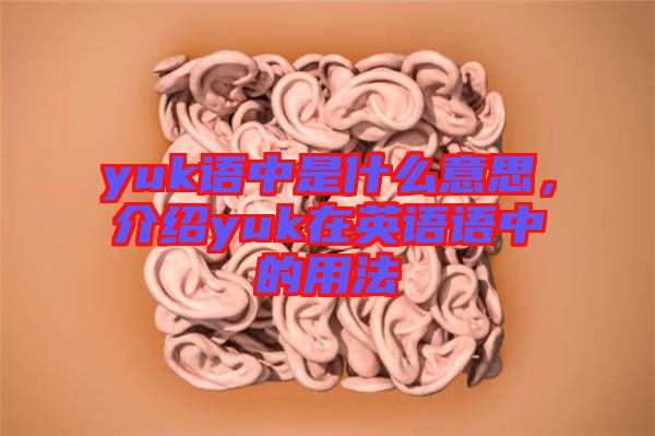 yuk語中是什么意思，介紹yuk在英語語中的用法