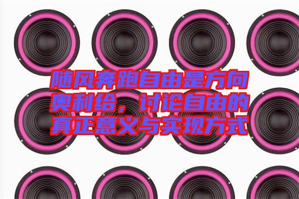 隨風奔跑自由是方向奧利給，討論自由的真正意義與實現(xiàn)方式