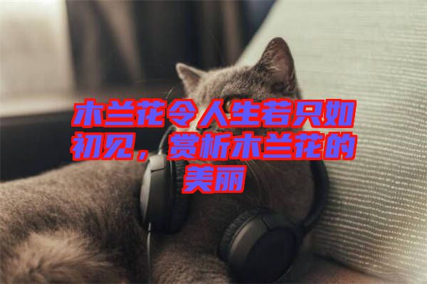 木蘭花令人生若只如初見，賞析木蘭花的美麗