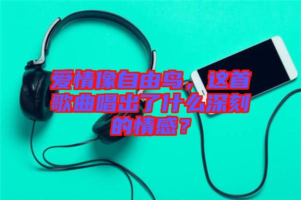 愛情像自由鳥，這首歌曲唱出了什么深刻的情感？