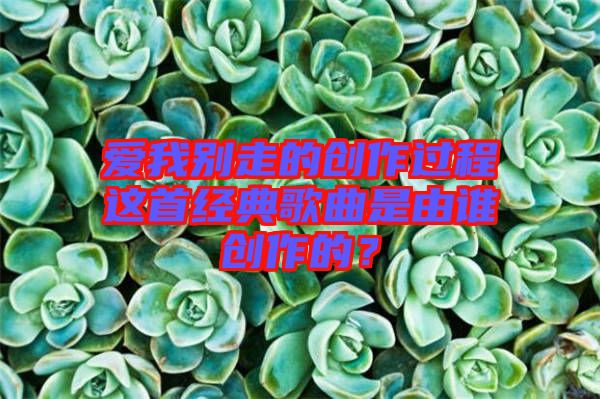 愛(ài)我別走的創(chuàng)作過(guò)程這首經(jīng)典歌曲是由誰(shuí)創(chuàng)作的？
