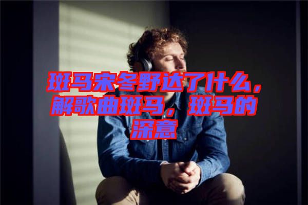 斑馬宋冬野達(dá)了什么，解歌曲斑馬，斑馬的深意