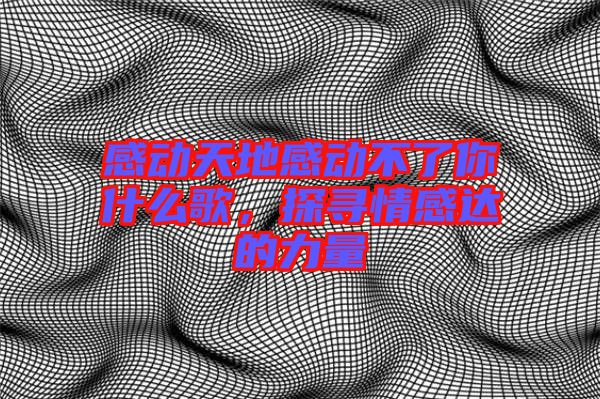 感動天地感動不了你什么歌，探尋情感達的力量