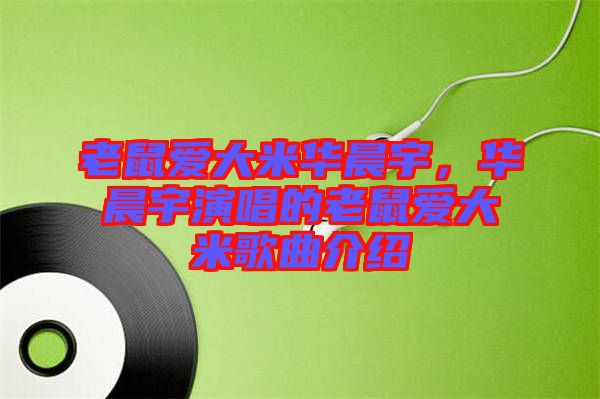老鼠愛大米華晨宇，華晨宇演唱的老鼠愛大米歌曲介紹