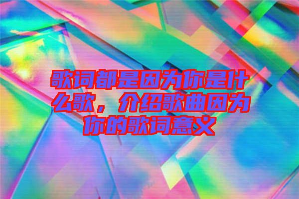 歌詞都是因為你是什么歌，介紹歌曲因為你的歌詞意義
