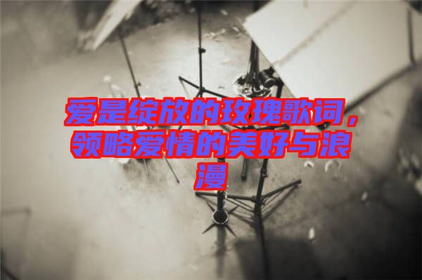 愛是綻放的玫瑰歌詞，領略愛情的美好與浪漫