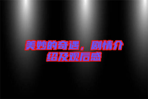 美妙的奇遇，劇情介紹及觀后感