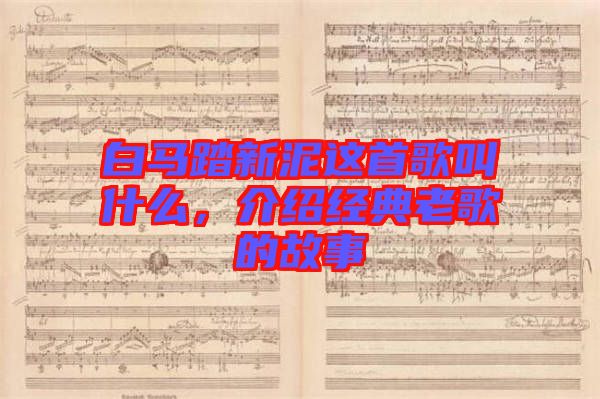 白馬踏新泥這首歌叫什么，介紹經(jīng)典老歌的故事