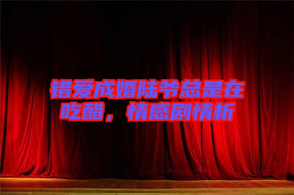 錯(cuò)愛(ài)成婚陸爺總是在吃醋，情感劇情析