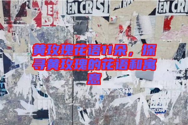 黃玫瑰花語11朵，探尋黃玫瑰的花語和寓意