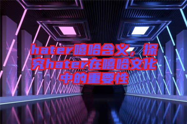 hater嘻哈含義，探究hater在嘻哈文化中的重要性