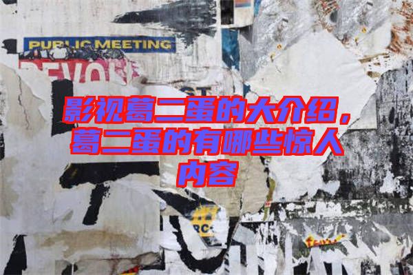影視葛二蛋的大介紹，葛二蛋的有哪些驚人內(nèi)容