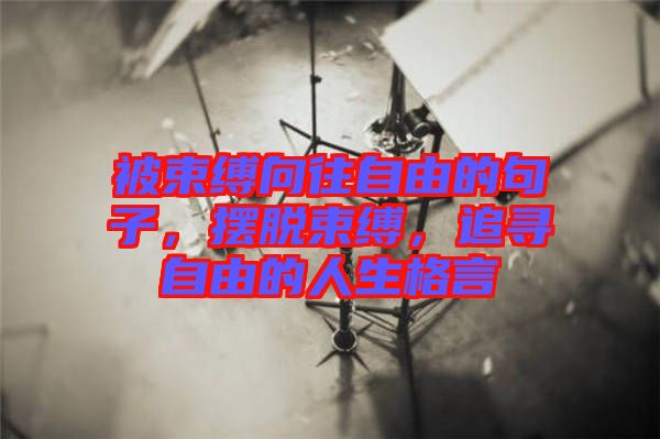 被束縛向往自由的句子，擺脫束縛，追尋自由的人生格言
