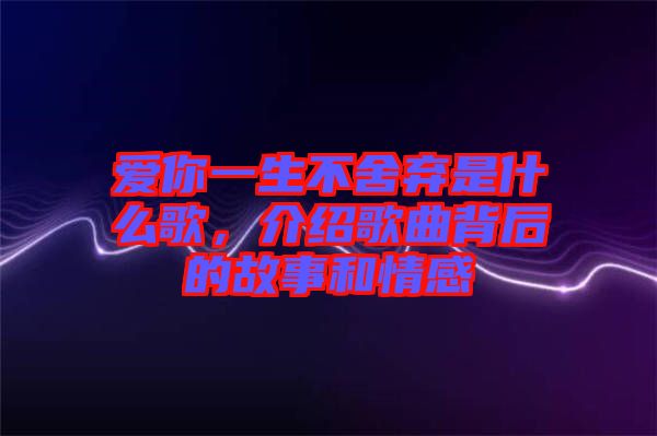 愛你一生不舍棄是什么歌，介紹歌曲背后的故事和情感
