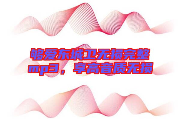夠愛東城衛(wèi)無損完整mp3，享高音質無損