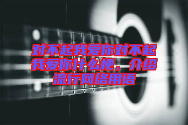對不起我愛你對不起我愛你什么梗，介紹流行網(wǎng)絡(luò)用語
