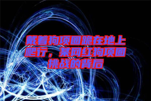 戴著狗項圈跪在地上爬行，某網(wǎng)紅狗項圈挑戰(zhàn)的背后
