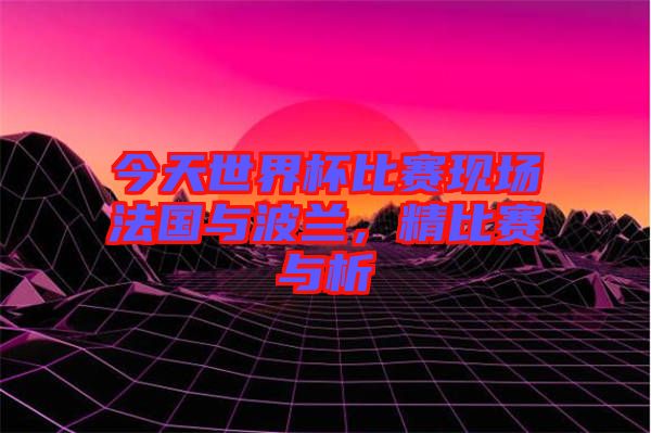 今天世界杯比賽現(xiàn)場法國與波蘭，精比賽與析