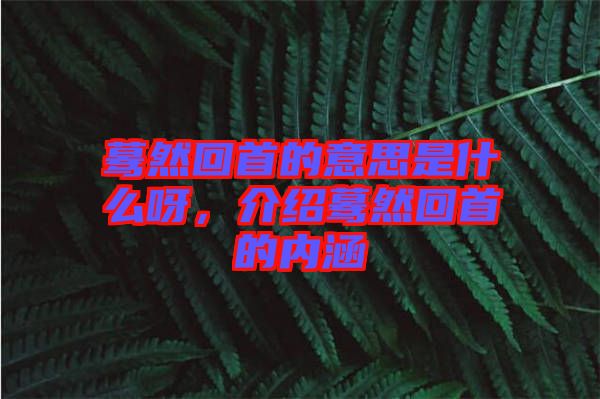 驀然回首的意思是什么呀，介紹驀然回首的內(nèi)涵