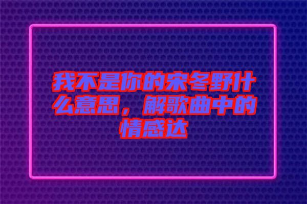 我不是你的宋冬野什么意思，解歌曲中的情感達