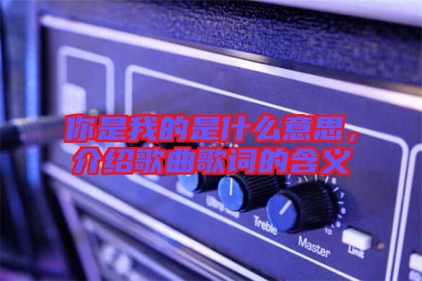 你是我的是什么意思，介紹歌曲歌詞的含義